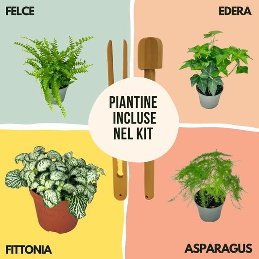 Kit Fai Da Te Terrarium Completo Geometrico Florine