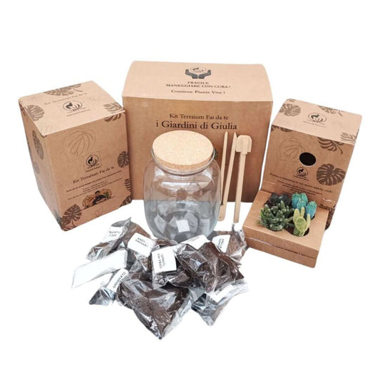 Kit terrarium fai da te con piante grasse completo