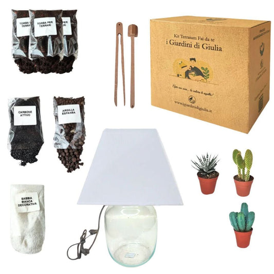 Kit Terrarium Lamparium Medio con piante grasse