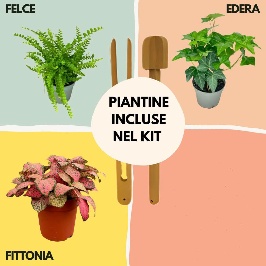 Kit Terrarium Fai Da Te Nadia | Crea il Tuo Giardino da Interno
