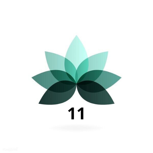 HAWORTHIA