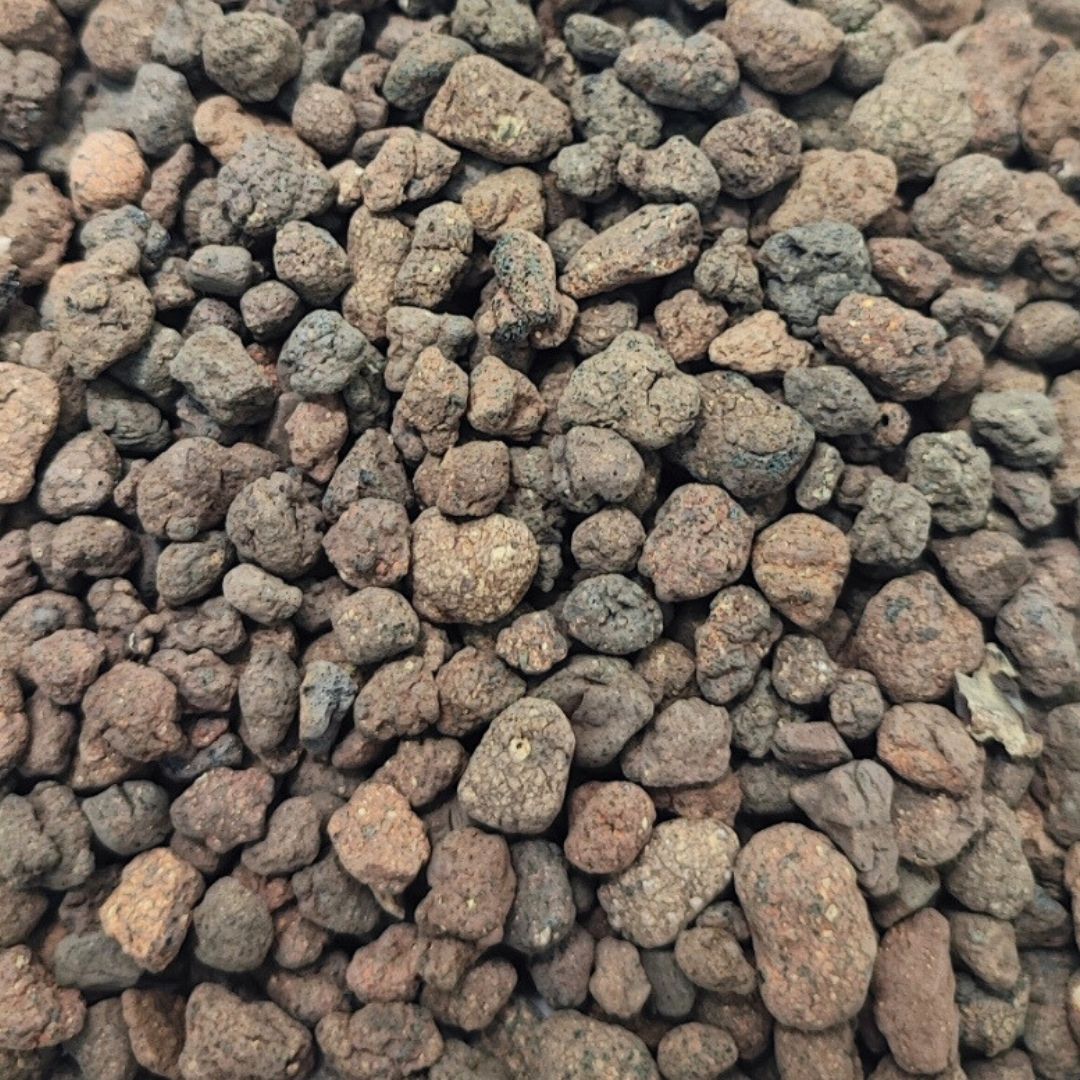 Argilla espansa per terrarium e piante