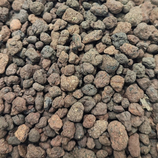 Argilla espansa per terrarium e piante