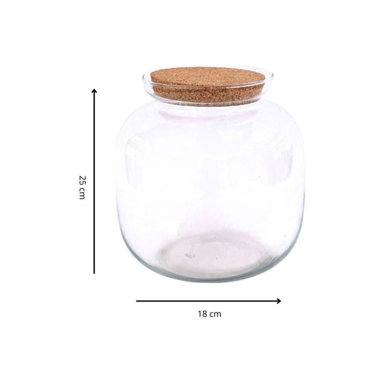 Contenitore Grande in Vetro Soffiato per Terrarium