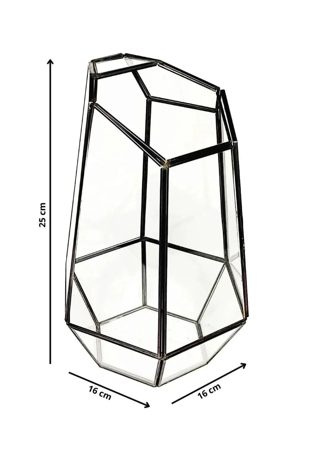 Kit Fai Da Te Terrarium Completo Geometrico  Florine