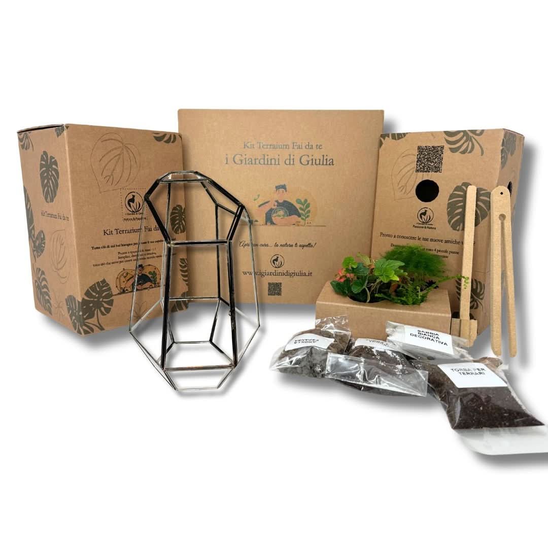 Kit Fai Da Te Terrarium Completo Geometrico  Florine