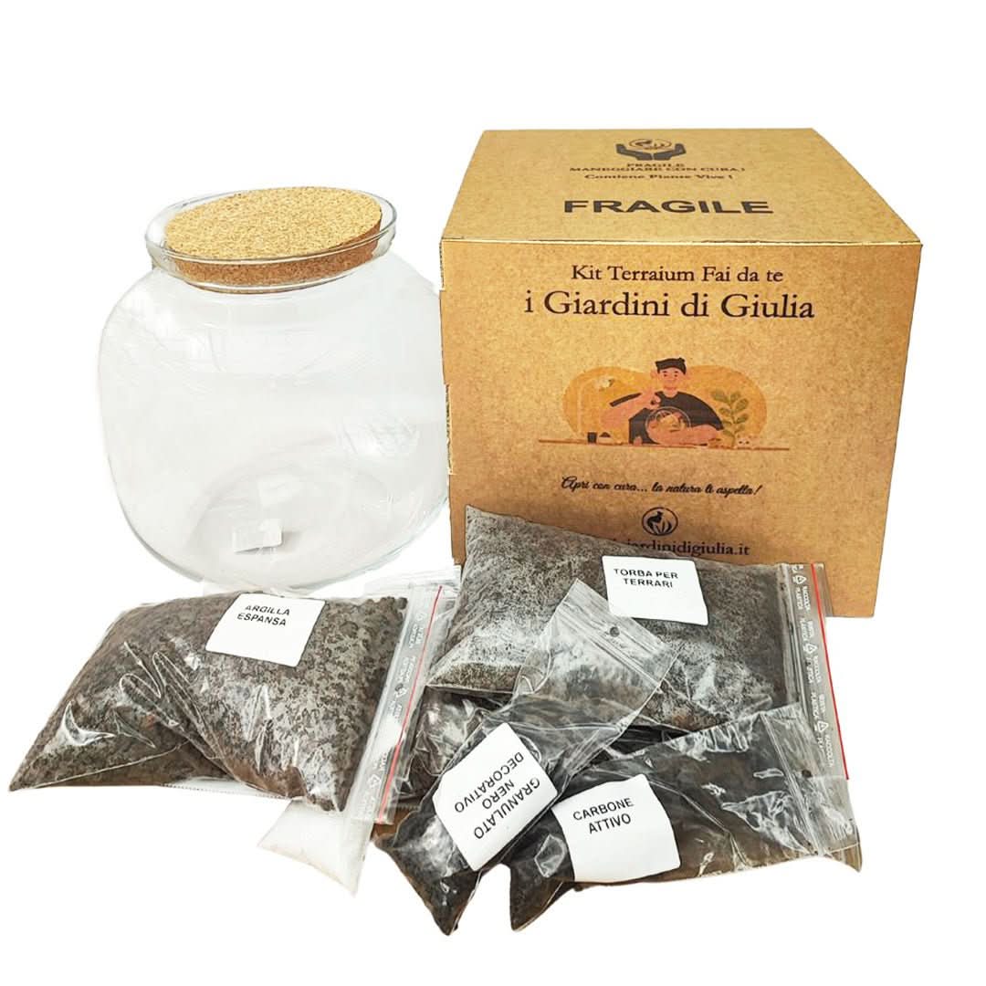Kit terrarium 8FATE048
