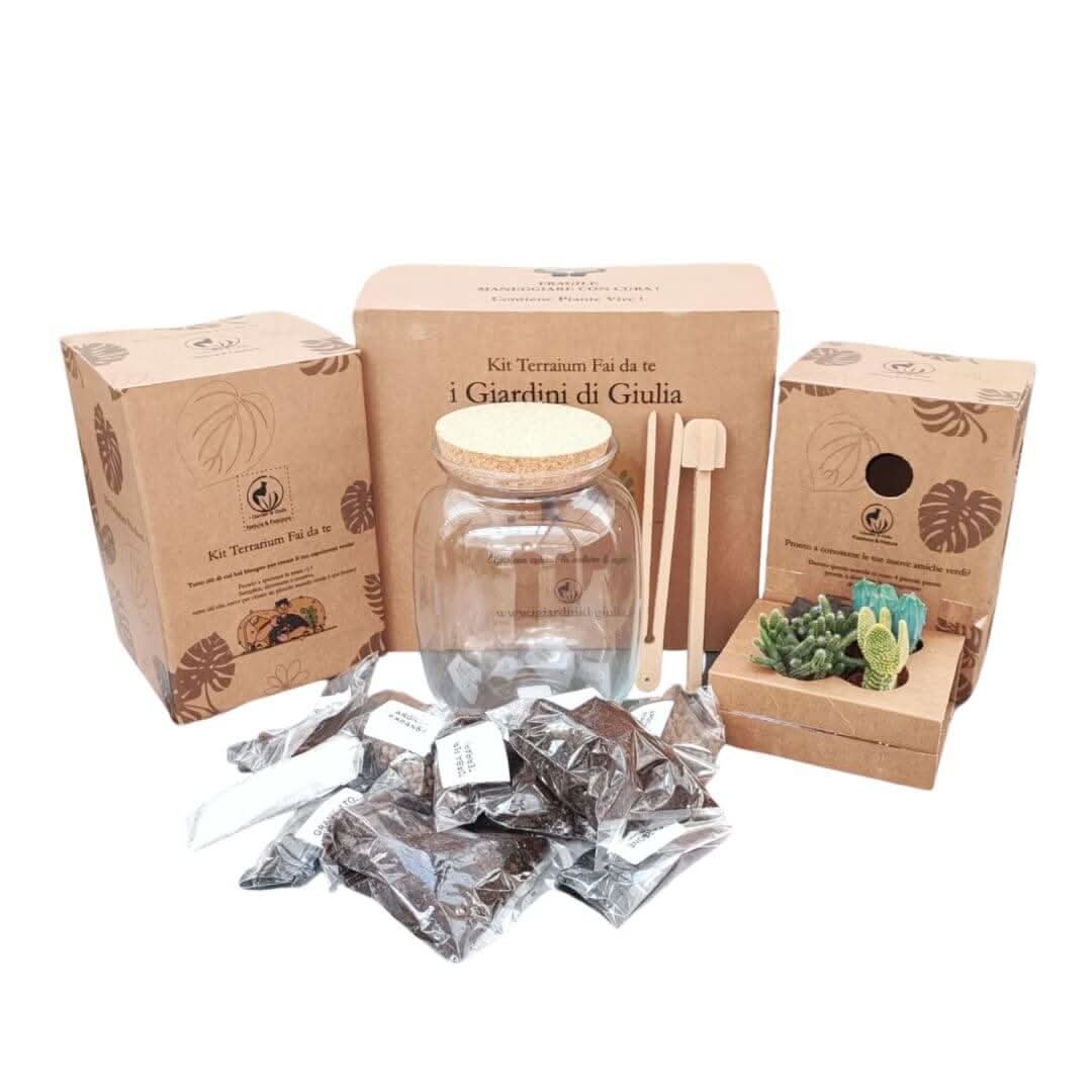 Kit terrarium fai da te con piante grasse completo