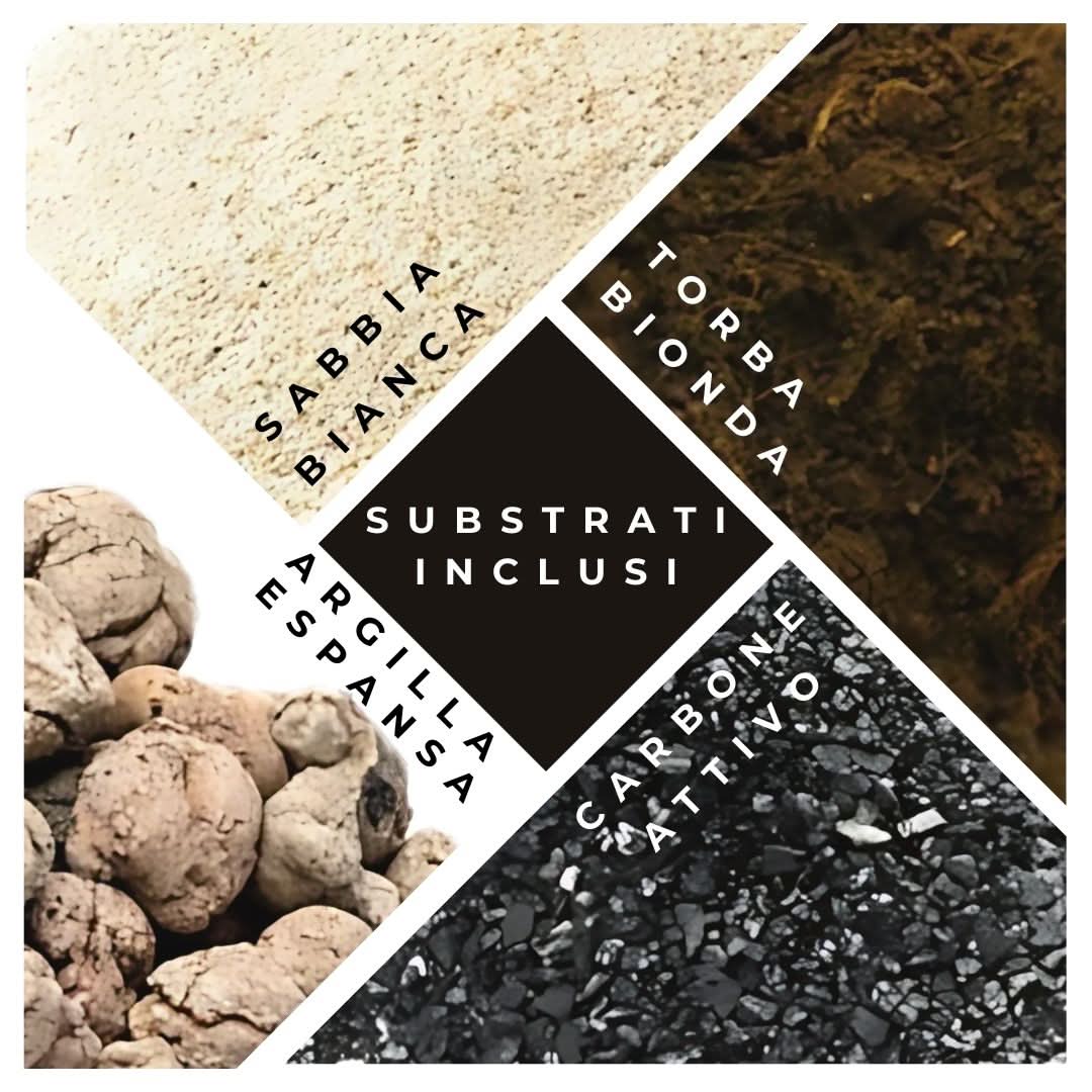 Kit Terrarium Fai Da Te Nadia | Crea il Tuo Giardino da Interno