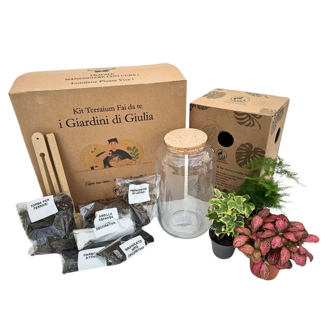 Kit Terrarium Fai Da Te Nadia | Crea il Tuo Giardino da Interno