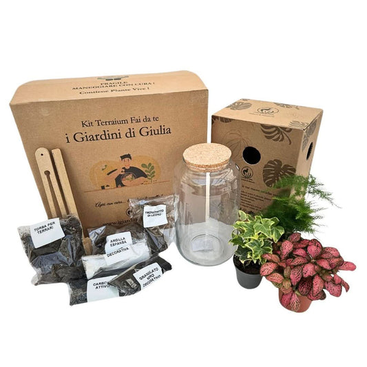 Kit Terrarium Fai Da Te Nadia | Crea il Tuo Giardino da Interno