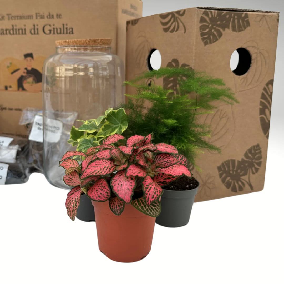 Kit Terrarium Fai Da Te Nadia | Crea il Tuo Giardino da Interno