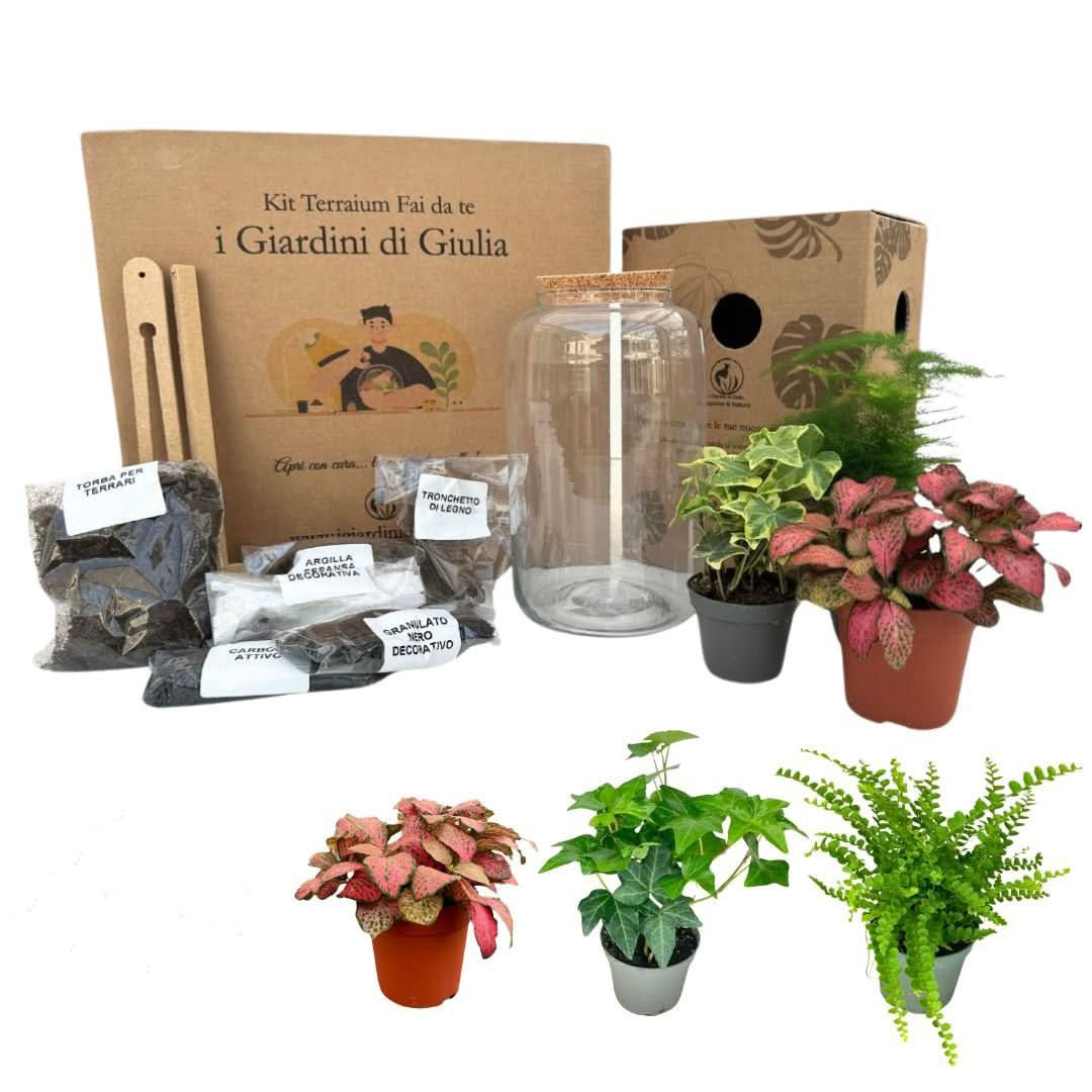 Kit Terrarium Fai Da Te Nadia | Crea il Tuo Giardino da Interno