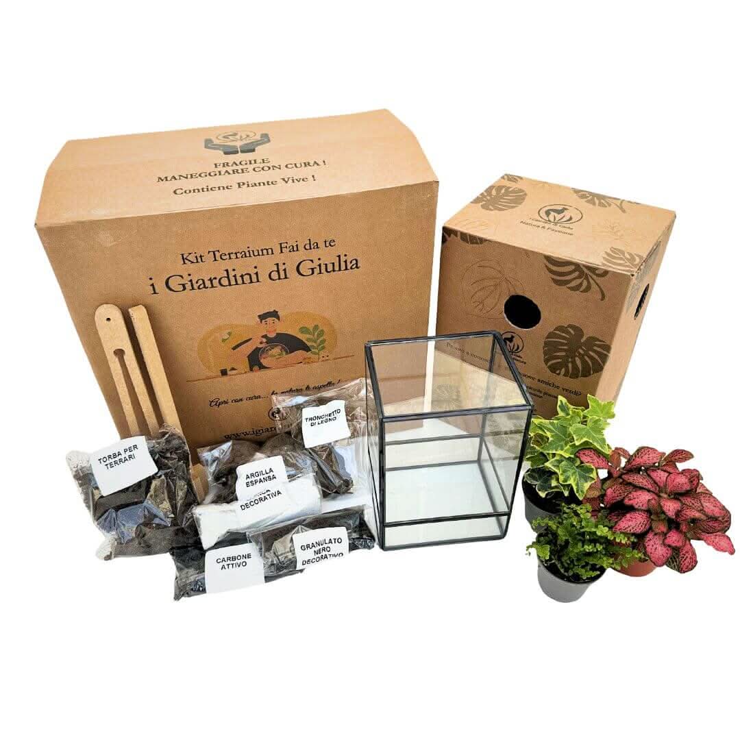Kit Terrarium Geometrico Fai Da Te ADA | Crea il Tuo Giardino da Interno