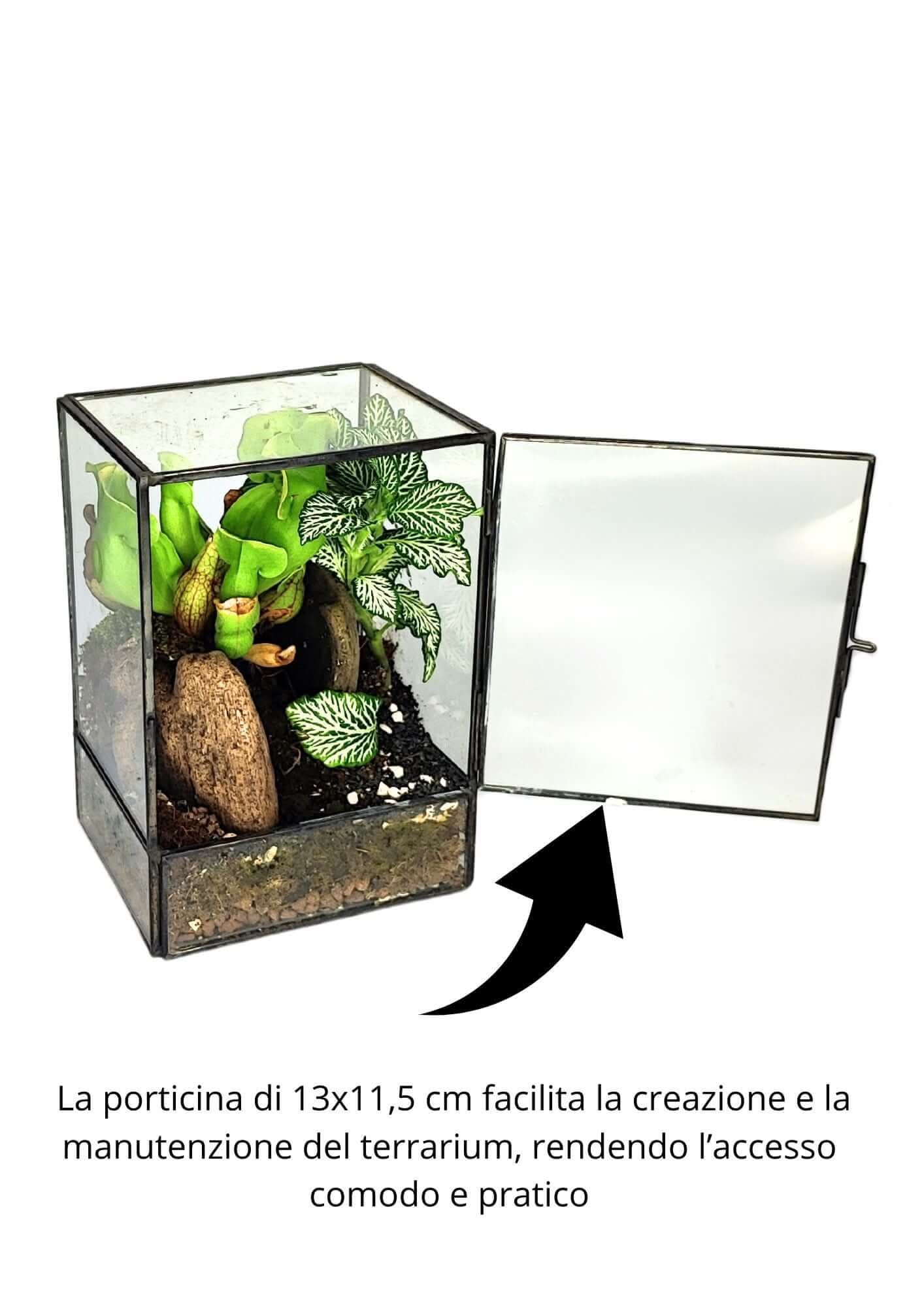 Kit Terrarium Geometrico Fai Da Te ADA | Crea il Tuo Giardino da Interno