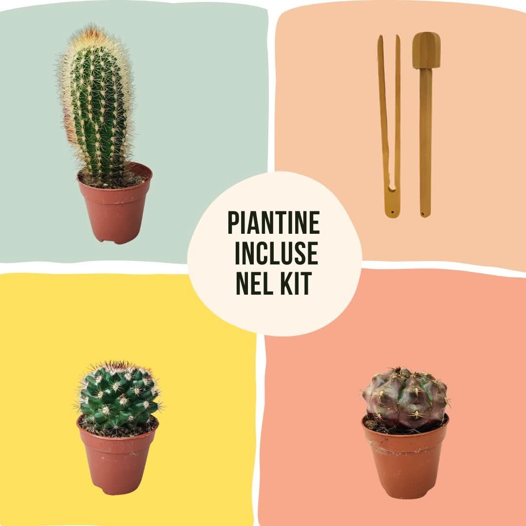 Kit Terrarium Geometrico Fai Da Te Beatrice Piante grasse