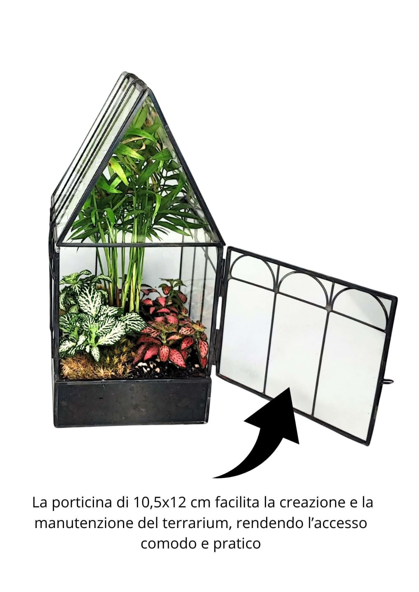 Kit terrarium geometrico fai da te con 4 piantine 2KITTERROM63