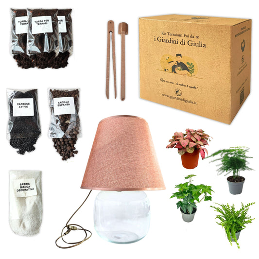 Kit Terrarium Lamparium Grande con piante verdi