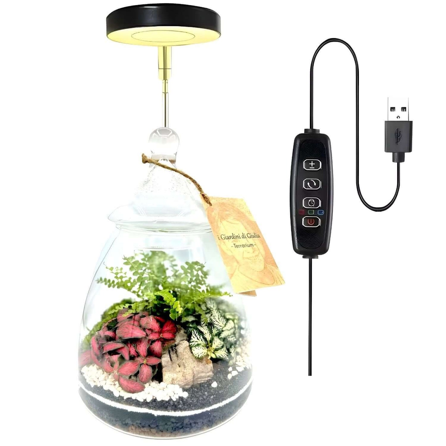 LumiFlora - Lampada LED Dimmerabile Telescopica per Terrarium, Bonsai, Piante Carnivore e da Scrivania