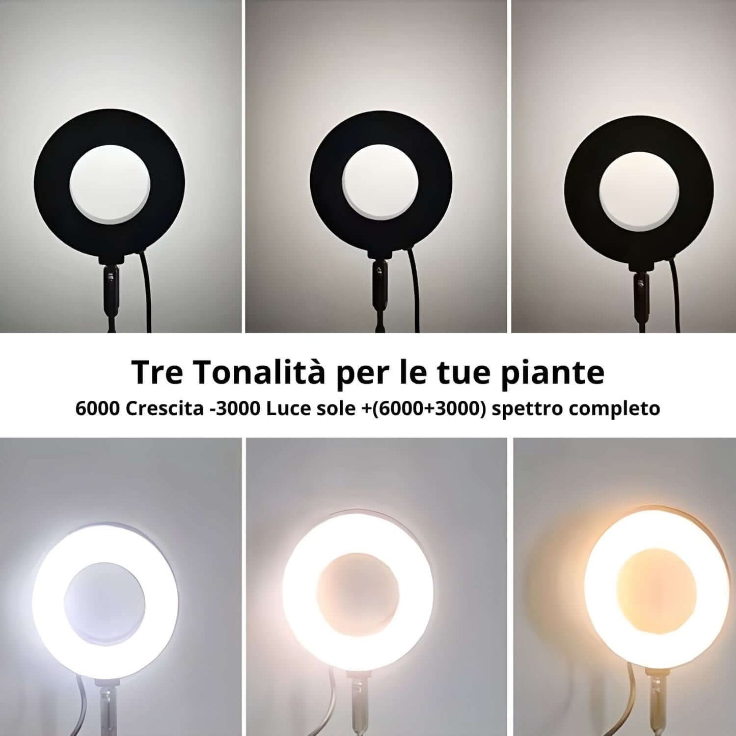 LumiFlora - Lampada LED Dimmerabile Telescopica per Terrarium, Bonsai, Piante Carnivore e da Scrivania