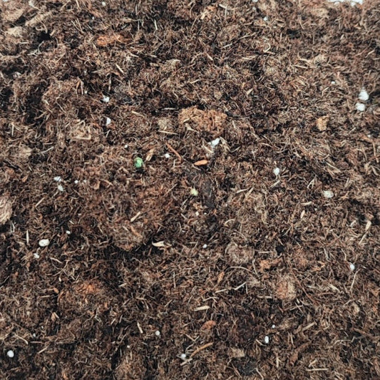 Terriccio per terrarium